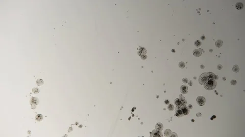 Stains and patterns in the water Stock Footage 112116368