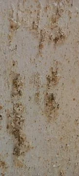 Stains on the wall #3 Stock-Fotos