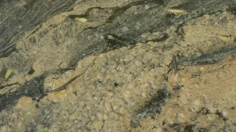 Stains on the water. timelapse Stock Footage 63364818