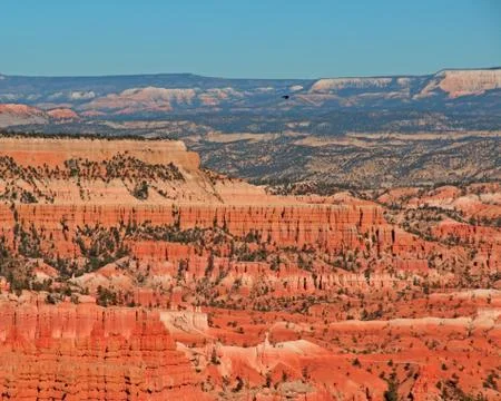 The stair case Stock Photos