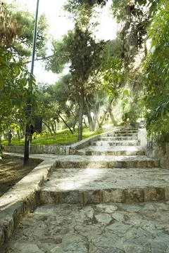 Stair forest sky Stock Photos