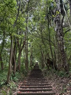 Stair path going uphill in a forest area with trees on both sides Stock Photos