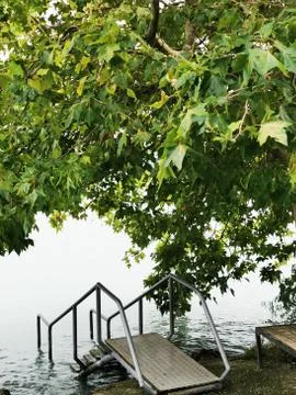 Staircase and view of the large tree at Lake Balaton Stock Photos