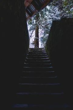 A staircase from the basement where the spring is located into the forest. A Stock Photos