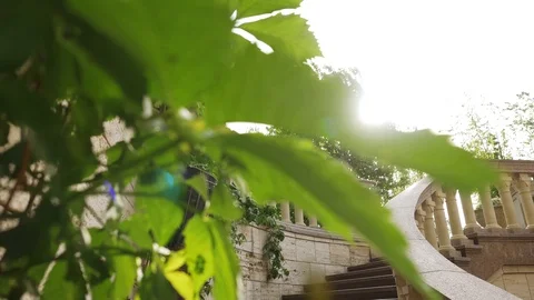 A staircase in an exotic park is surrounded by green grape leaves. Stock Footage 129652010