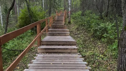 Staircase in the forest Video stock 283479261