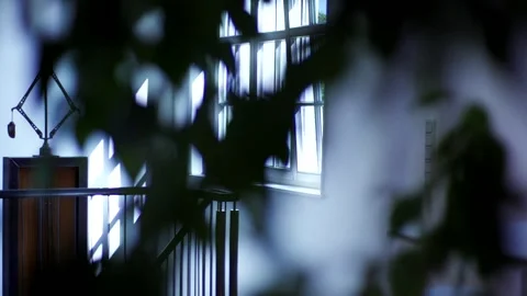 Staircase Interior Behind Green Leaves, Modern Building Atrium, Static Shot Stock Footage 341443443