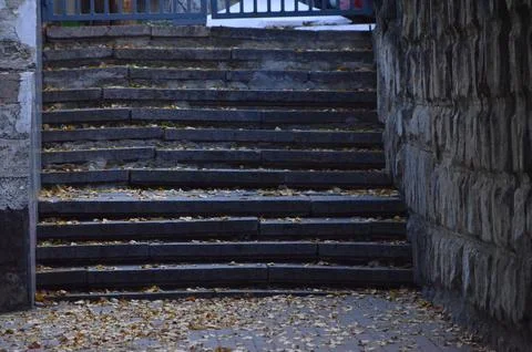 A staircase with leaves on it. Stock Photos