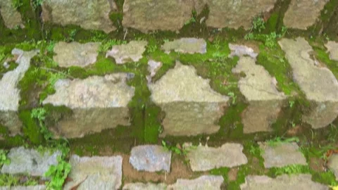 A staircase made of white brick, overgrown with moss and ferns, cascades down Video stock 333370984
