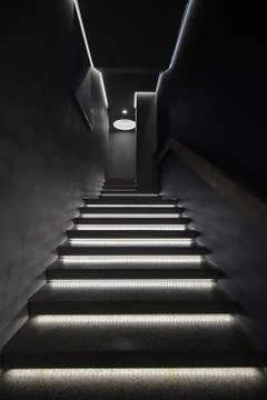 Staircase in a modern interior Фото