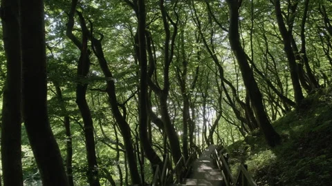 Staircase at Moens Klint in Denmark Stock Footage 245480476