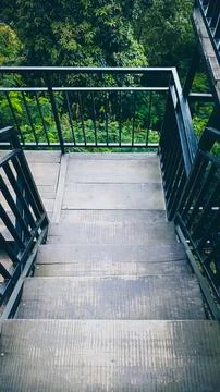 A staircase with a railing and a view of trees Stock Photos