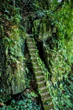 Staircase in the rainforest Stock Photos