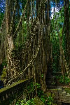 A staircase with statues in the Sacred Monkey Forest Sanctuary in Ubud, Bali, Stock Photos