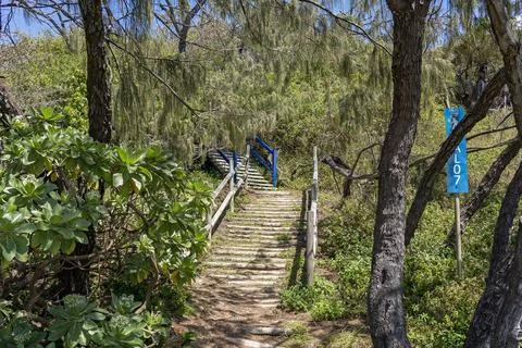 Staircase Through Trees To Beach Stock Photos
