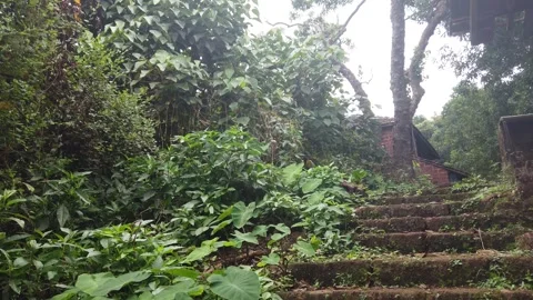 Staircase of a Vintage Building Stock Footage 320347752
