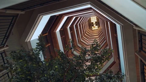 Staircase well with a tree, view from bottom to ceiling Stock Footage 81386952