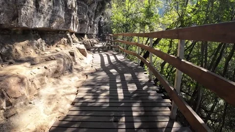 Staircase within a forest gorge rising up a wooden walkway Stock Footage 313815756