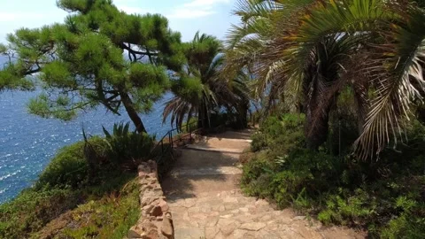 Stairs among palm trees and sea in Jardín Botánico Marimurtra in Blanes Stock Footage 250354734