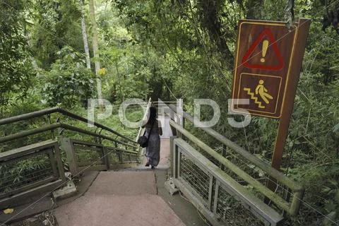 Stairs and sign "be careful, slippy path" in iguazu national park, brazil Stock Photos
