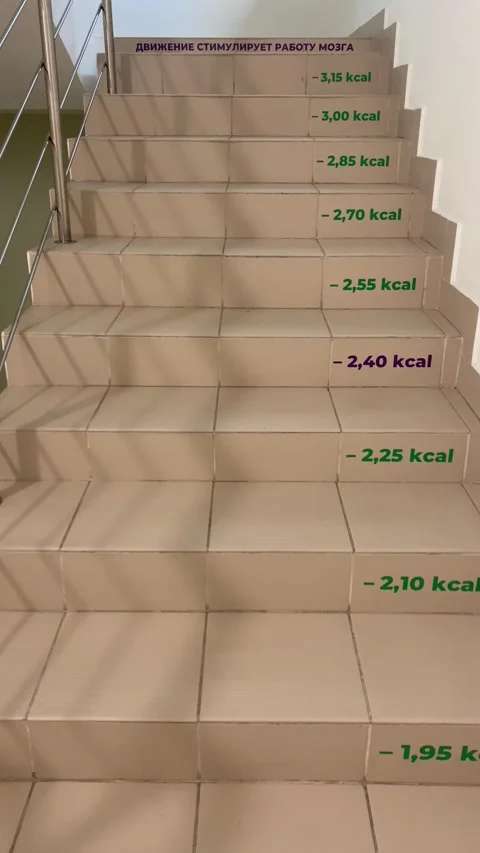 Stairs in a building. Vertical video Stock-Footage 281346689