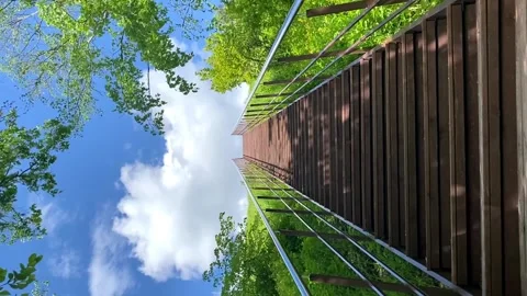 Stairs to the clouds surrounded by trees. summer. concept. success Video stock 196606512