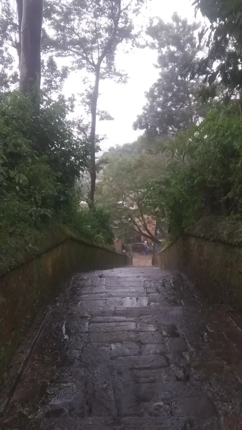 Stairs 動画素材 139686476