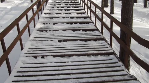 Stairs in the forest Stock Footage 81868727