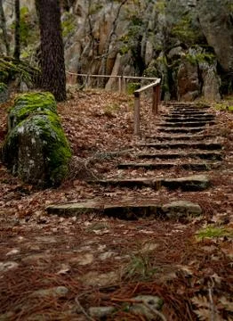 The stairs in forest Foto stock