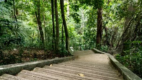 Stairs in forest Stock Photos