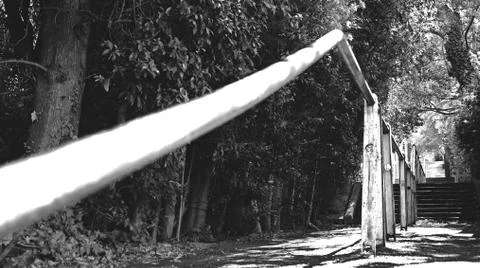 Stairs in the Forest Foto stock