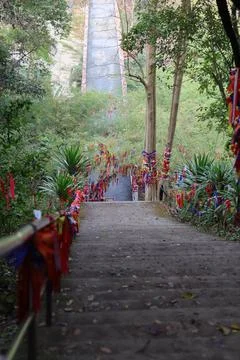 Stairs in the forest Stock Photos