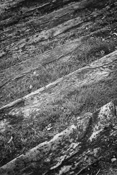 Stairs with grass Stock Photos