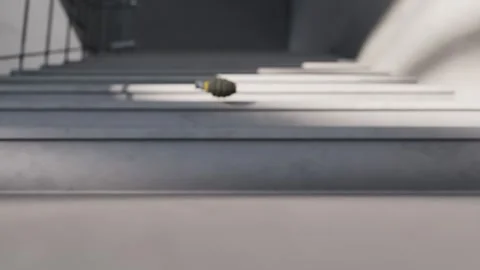 Stairs grenade Stock Footage 265897761