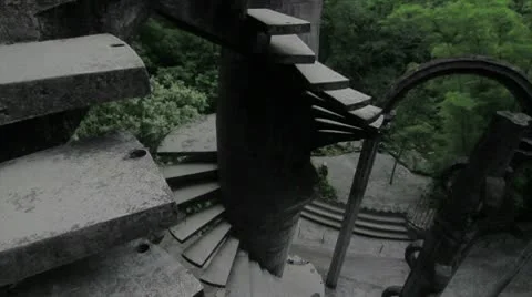 Stairs in the Jungle Stock Footage 9249698