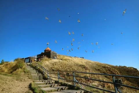 Stairs Leading to Sevanavank Monastery and a Large Group of Flying Seagulls 스톡 사진
