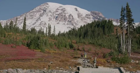 Stairs To Mt. Rainier 库存影片 84743117