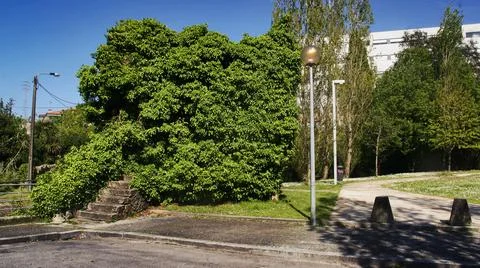 Stairs to Nowhere Stock Photos