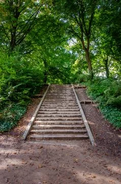 Stairs in the park Foto stock