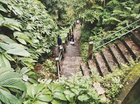 Stairs.  Stock Photos