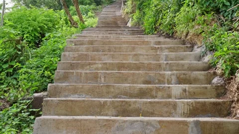 Stairs in the rainforest, going up into the horizon.Slow motion. 4K Stock Footage 244167314