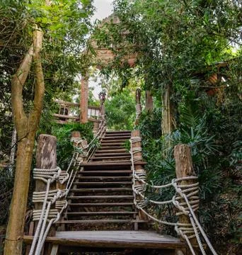 Stairs in the rainforest Stock Photos