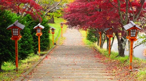 Stairs to red pagoda in autumn, Japan Stock Footage