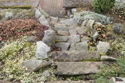 Stairs in a small rockery with herbs Stock Photos