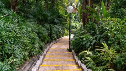 Stairs with street lamp in Kowloon central park Stock Photos