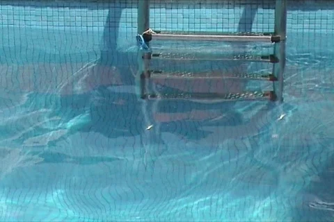 Stairs of swimming pool Vidéo 107778