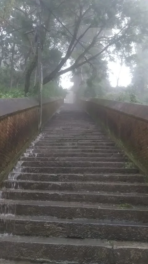 Stairs to temple 🕍 動画素材 139686569