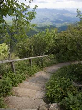 Stairs on trail Stock Photos