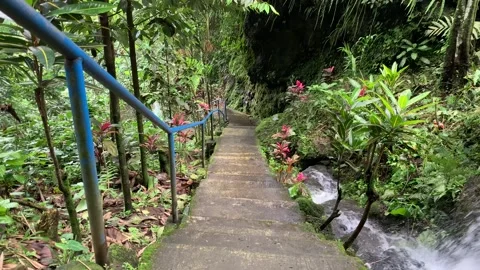 Stairway Stock Footage 254561098