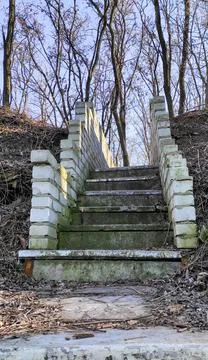 Stairway to the forest Stock Photos